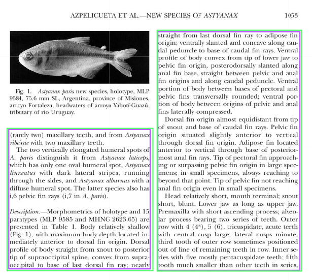 Annostor page example